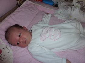 Lola Kuh auf meinem Bauch.JPG